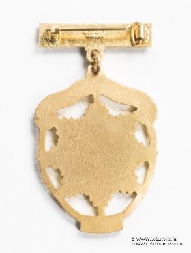 Знак RMIB 1963. STEWARD ROYAL MASONIC INSTITUTION FOR BOYS.  – Королевский Масонский институт для мальчиков.