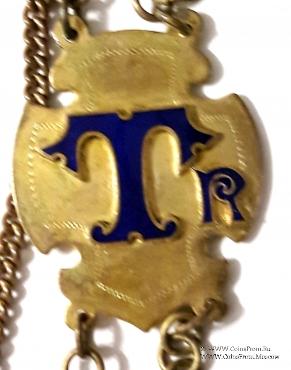 Церемониальная нашейная лента Ложи № 5160. 