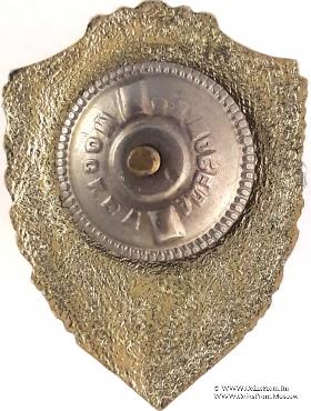 Отличник ВВС