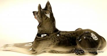 Овчарка серая