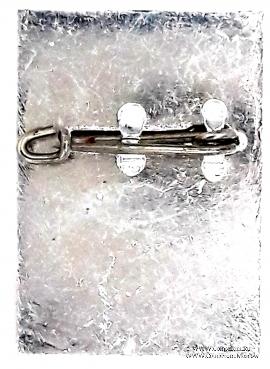 Значок ГДР. Германия