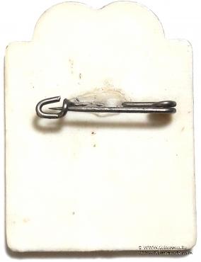 Значок ГДР. Германия