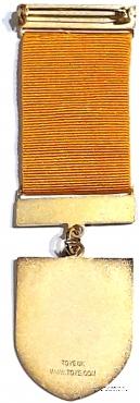 Знак Масонского Благотворительного фестиваля 2009 г.