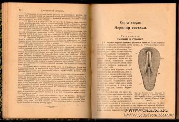 Человек и животный мир. 1903 г.