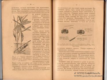 Летние работы по естествознанию. 1921 г.
