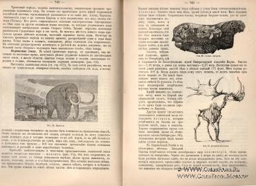 Наука для всех. 1919 г.