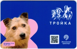 Билеты, талоны, карты для проезда в транспорте