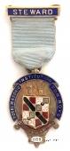 Знак RMIB 1928. STEWARD ROYAL MASONIC INSTITUTION FOR BOYS.  – Королевский Масонский институт для мальчиков.