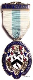 Знак MTGB 1991. STEWARD Masonic Trust for Girls and Boys.