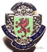 Знак MTGB 1993. STEWARD Masonic Trust for Girls and Boys.
