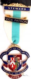Знак MTGB 2008. STEWARD Masonic Trust for Girls and Boys.