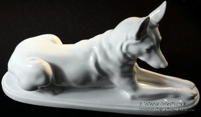 Овчарка белая