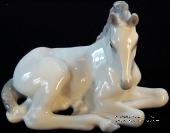 Жеребенок белый