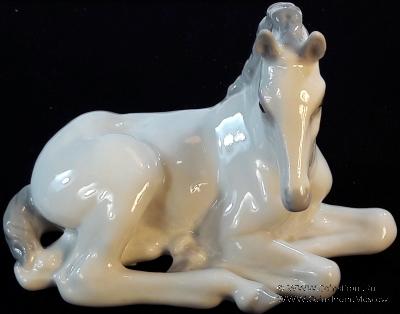 Жеребенок белый