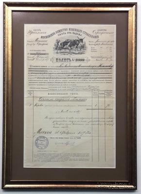 Полис Московского общества взаимного страхования в рамке