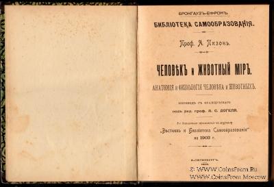 Человек и животный мир. 1903 г.