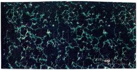 500 рублей 1920 г. Вторичное использование (вариант 2).