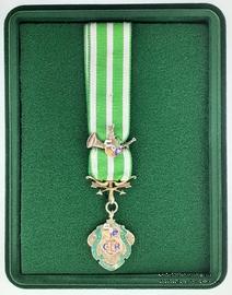 Знак Прошлого Провинциального Главного Рейнжера