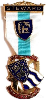 Знак MTGB 2000. STEWARD Masonic Trust for Girls and Boys.
