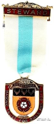 Знак MTGB 2003. STEWARD Masonic Trust for Girls and Boys.