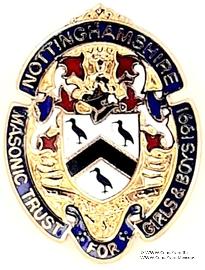 Знак MTGB 1991. STEWARD Masonic Trust for Girls and Boys.