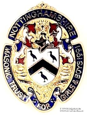 Знак MTGB 1991. STEWARD Masonic Trust for Girls and Boys.