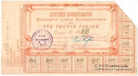 3.000 рублей 1920 г. (Вельск)