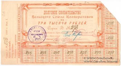 3.000 рублей 1920 г. (Вельск)