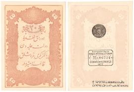 20 курушей 1877 (1295) г.